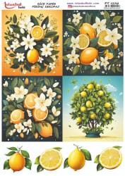 Limon Desenli Pirinç Dekopaj Model : PT 1529 - Tual Hobi Craft İst