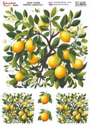 Limon Desenli Pirinç Dekopaj Model : PT 1536 - Tual Hobi Craft İst