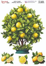 Limon Desenli Pirinç Dekopaj Model : PT 1539 - Tual Hobi Craft İst