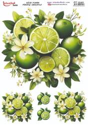 Limon Desenli Pirinç Dekopaj Model : PT 1540 - Tual Hobi Craft İst