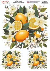 Limon Desenli Pirinç Dekopaj Model : PT 1541 - Tual Hobi Craft İst