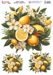 Limon Desenli Pirinç Dekopaj Model : PT 1543 - Tual Hobi Craft İst