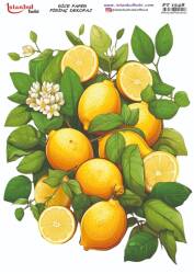 Limon Desenli Pirinç Dekopaj Model : PT 1548 - Tual Hobi Craft İst