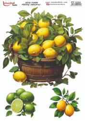 Limon Desenli Pirinç Dekopaj Model : PT 1550 - Tual Hobi Craft İst