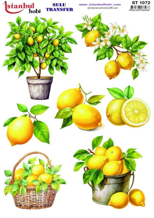 Limon Desenli Sulu Transfer Kağıdı ST-1072 - 1