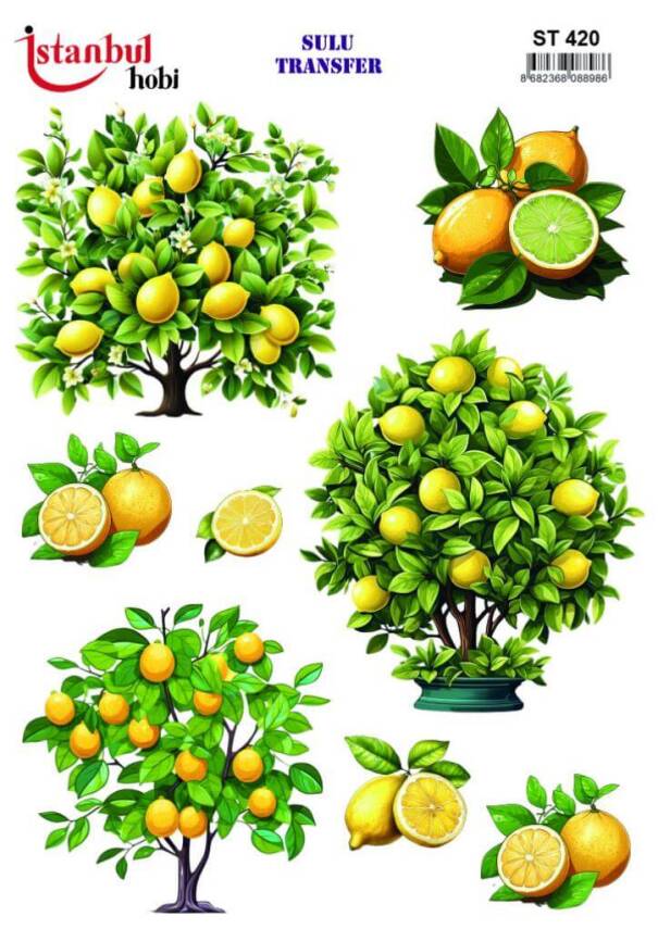 Limon Desenli Sulu Transfer Kağıdı ST-420 - 1
