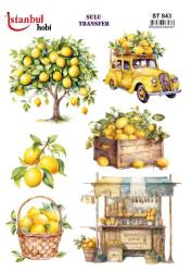 Limon Desenli Sulu Transfer Kağıdı ST-843 - Tual Hobi Craft Ist