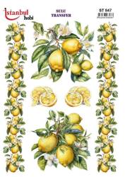 Limon Desenli Sulu Transfer Kağıdı ST-847 - Tual Hobi Craft Ist