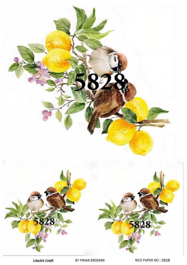 Limon ve Kuş Desenli Pirinç Dekopaj Model : 5828 - 1