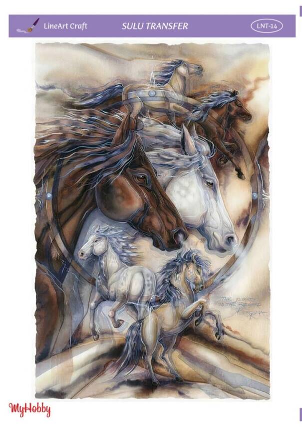 LineArt At Desenli Sulu Transfer LNT014 - 1