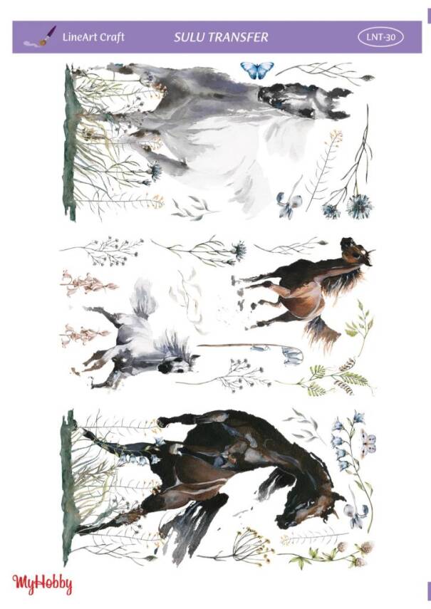 LineArt At Desenli Sulu Transfer LNT030 - 1