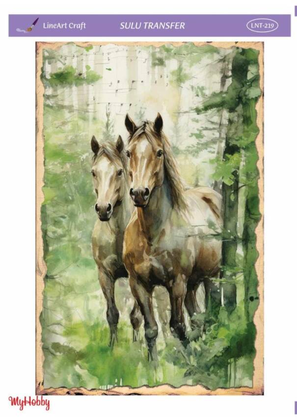 LineArt At Desenli Sulu Transfer LNT219 - 1