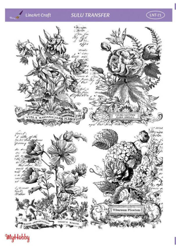 LineArt Çiçek Desenli Sulu Transfer LNT071 - 1