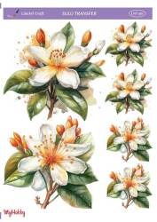 LineArt Çiçek Desenli Sulu Transfer LNT367 - Line Art