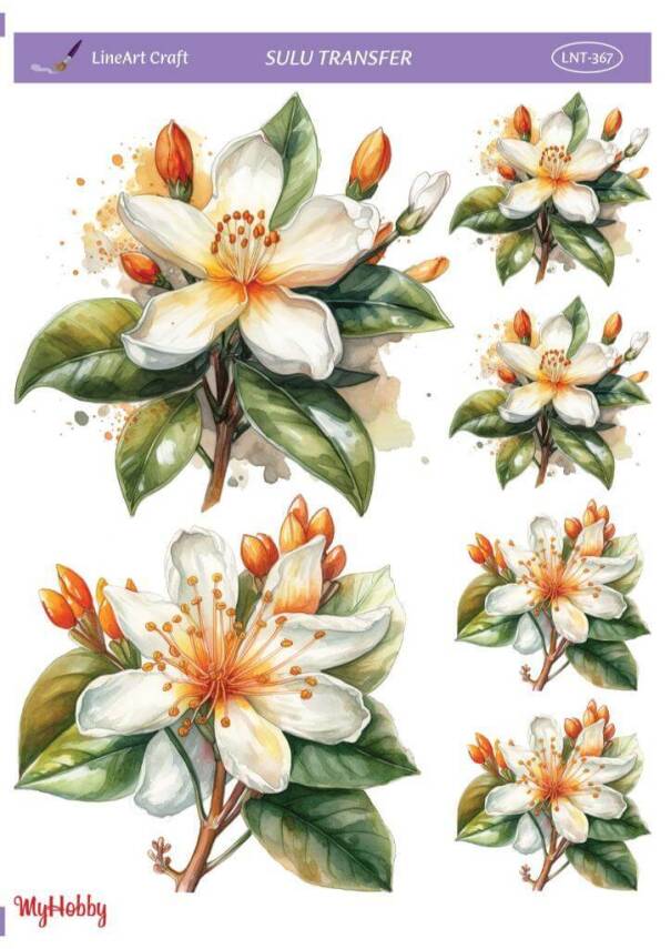 LineArt Çiçek Desenli Sulu Transfer LNT367 - 1