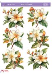 LineArt Çiçek Desenli Sulu Transfer LNT368 - Line Art