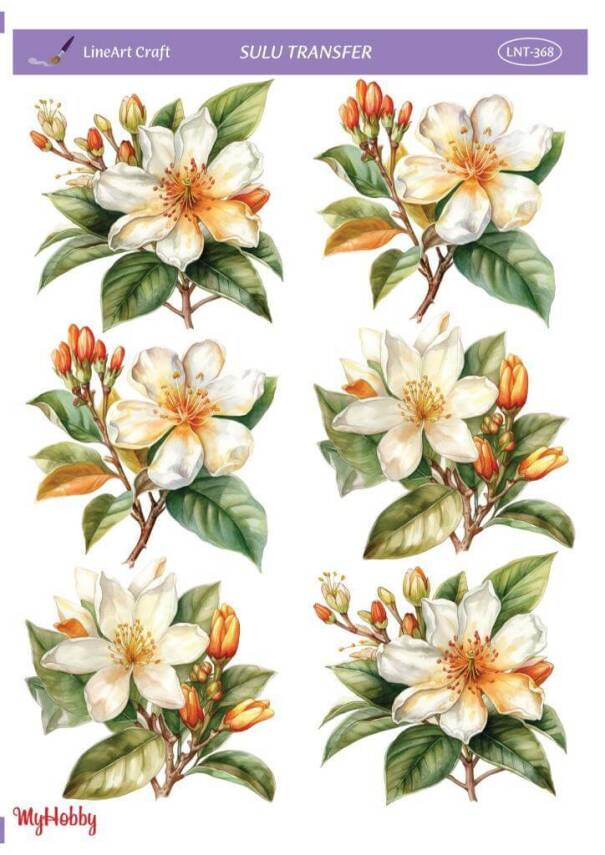 LineArt Çiçek Desenli Sulu Transfer LNT368 - 1