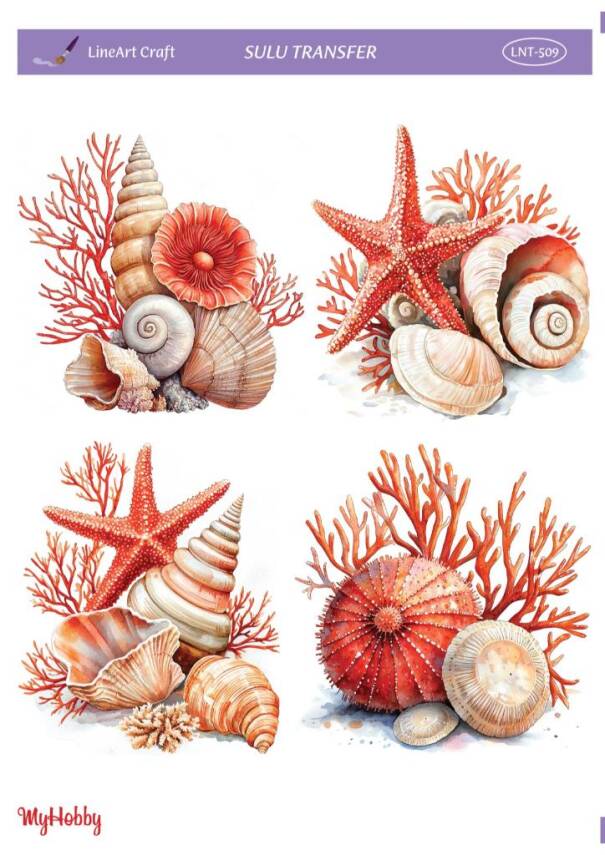 LineArt Deniz Teması Desenli Sulu Transfer LNT509 - 1