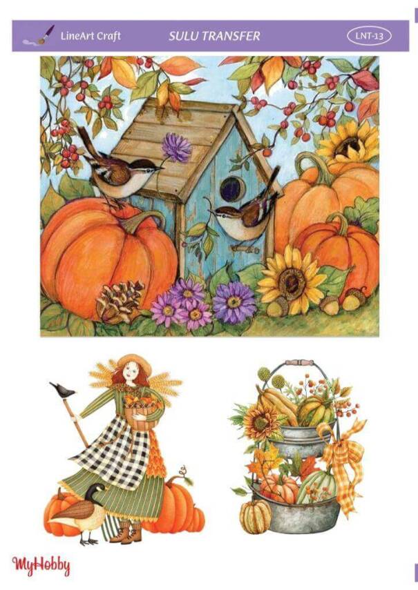 LineArt Kabak Desenli Sulu Transfer LNT13 - 1