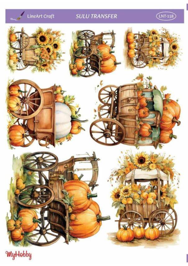 LineArt Kabak Desenli Sulu Transfer LNT158 - 1