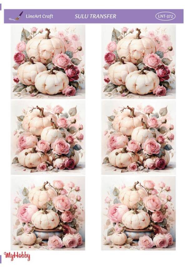 LineArt Kabak Desenli Sulu Transfer LNT372 - 1