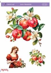 LineArt Kadın Desenli Sulu Transfer LNT202 - Line Art