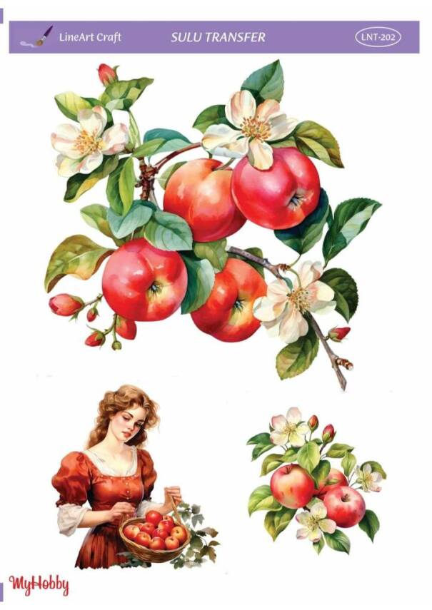 LineArt Kadın Desenli Sulu Transfer LNT202 - 1