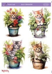 LineArt Kedi Desenli Sulu Transfer LNT303 - Line Art