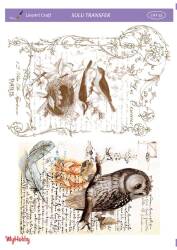 LineArt Kuş Desenli Sulu Transfer LNT055 - Line Art