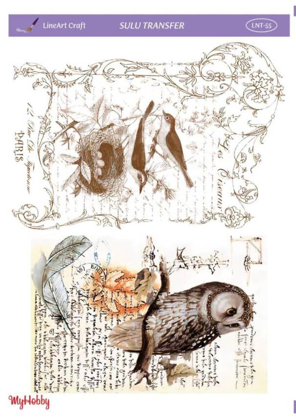 LineArt Kuş Desenli Sulu Transfer LNT055 - 1