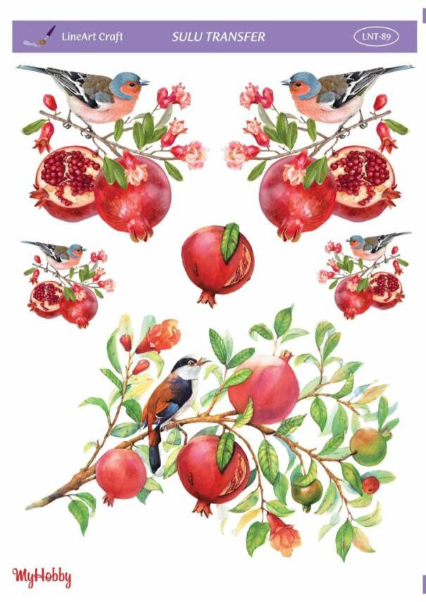 LineArt Kuş Desenli Sulu Transfer LNT089 - 1