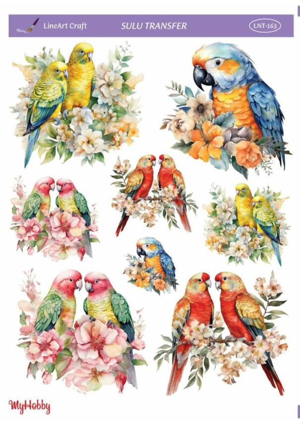 LineArt Kuş Desenli Sulu Transfer LNT163 - 1