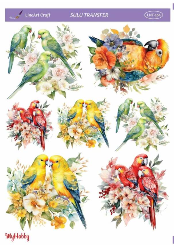 LineArt Kuş Desenli Sulu Transfer LNT164 - 1
