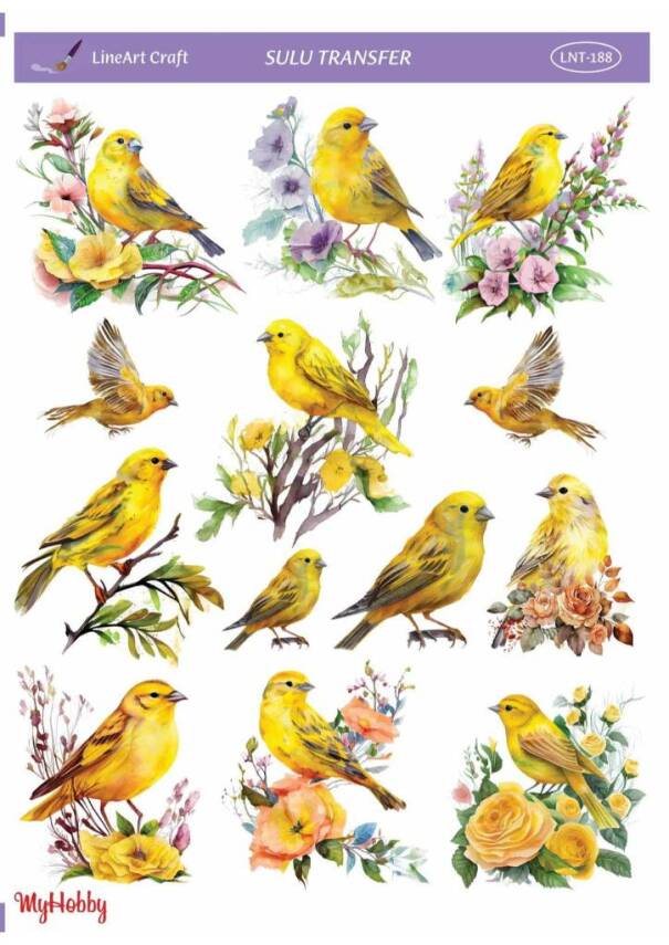 LineArt Kuş Desenli Sulu Transfer LNT188 - 1