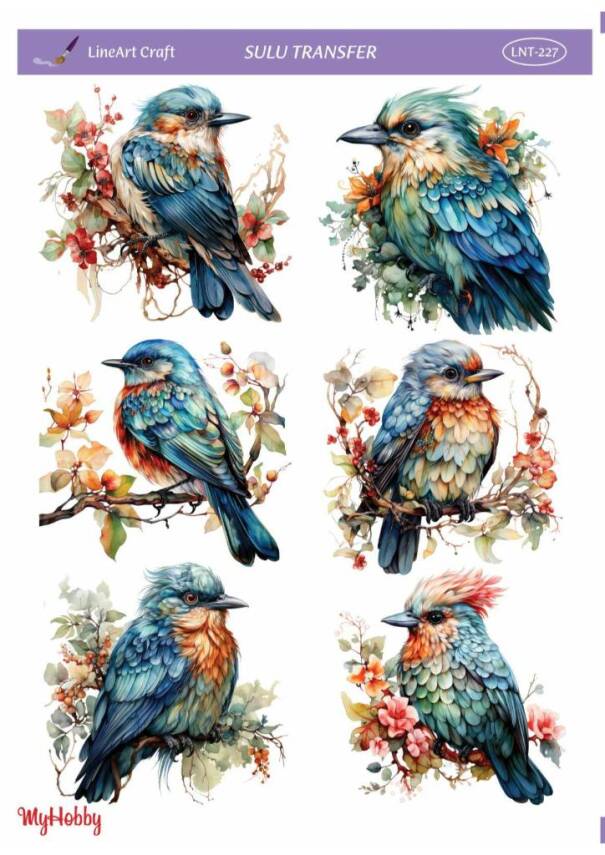 LineArt Kuş Desenli Sulu Transfer LNT227 - 1