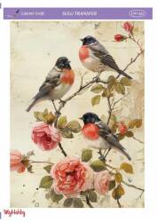 LineArt Kuş Desenli Sulu Transfer LNT332 - Line Art