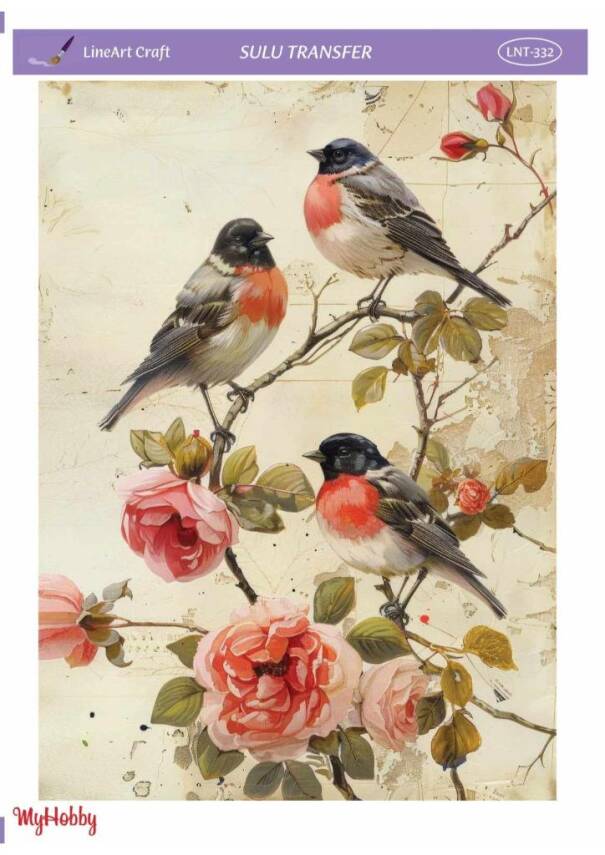 LineArt Kuş Desenli Sulu Transfer LNT332 - 1