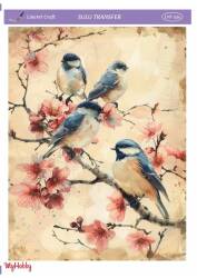 LineArt Kuş Desenli Sulu Transfer LNT334 - Line Art