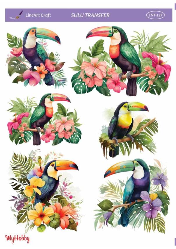 LineArt Papağan Desenli Sulu Transfer LNT127 - 1