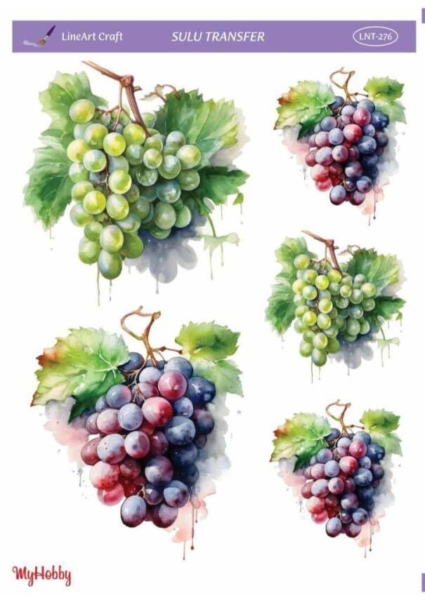 LineArt Üzüm Desenli Sulu Transfer LNT276 - 1