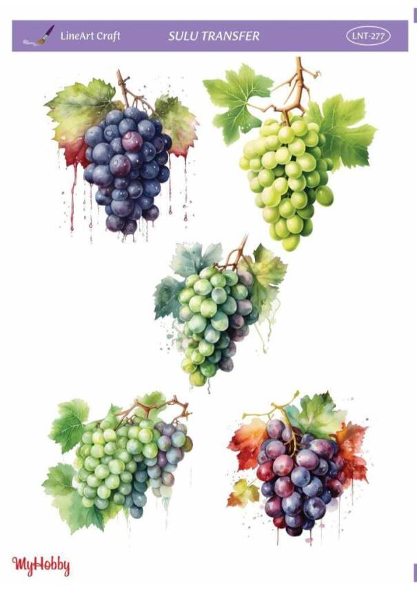 LineArt Üzüm Desenli Sulu Transfer LNT277 - 1