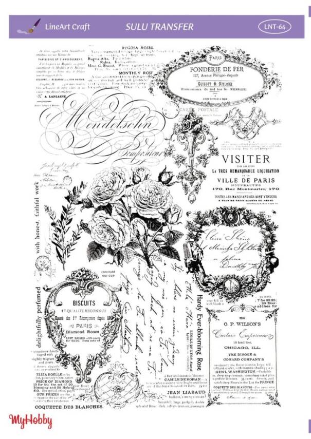 LineArt Yazı Desenli Sulu Transfer LNT064 - 1