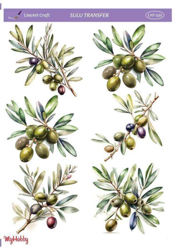 LineArt Zeytin Dalı Desenli Sulu Transfer LNT330 - 1