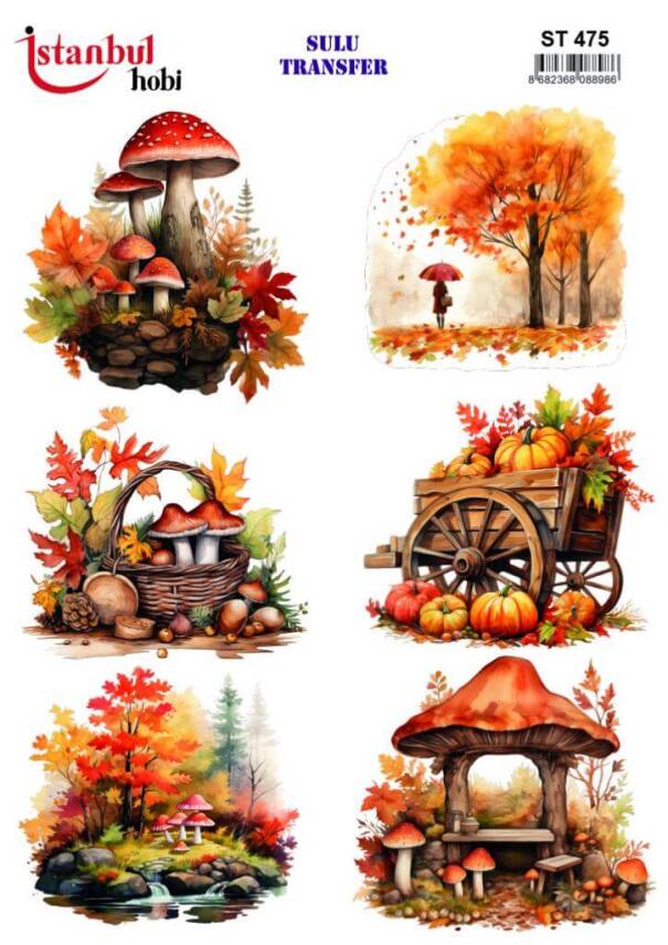 Mantar Kabak Desenli Sulu Transfer Kağıdı STI-475 - 1