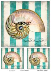 Marine Desenli Pirinç Dekopaj Model : MRN 37 - Line Art