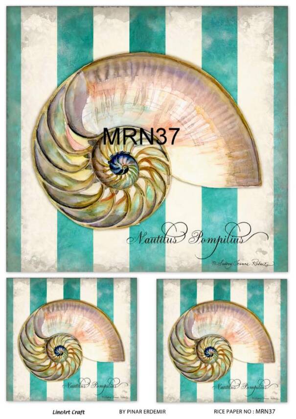 Marine Desenli Pirinç Dekopaj Model : MRN 37 - 1