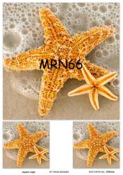 Marine Desenli Pirinç Dekopaj Model : MRN 66 - Line Art