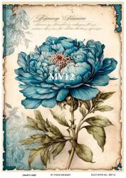 Mavi Desenli Pirinç Dekopaj Model : MV12 - Line Art