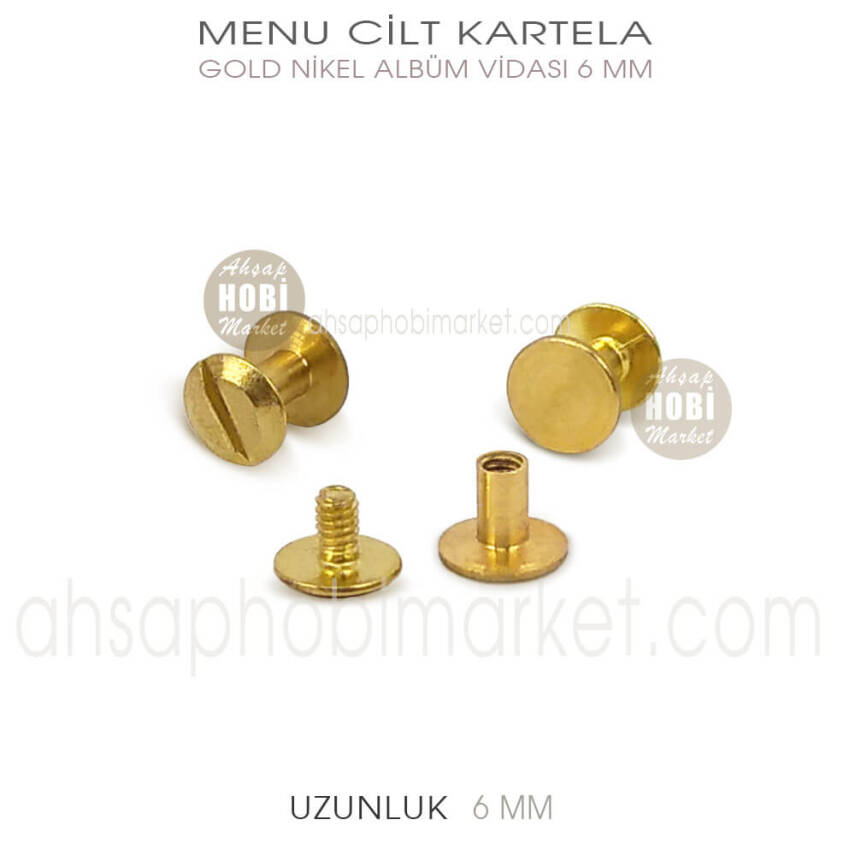 Menü Cilt Kartela Albüm Vidası (6 mm) Parlak Gold - 1