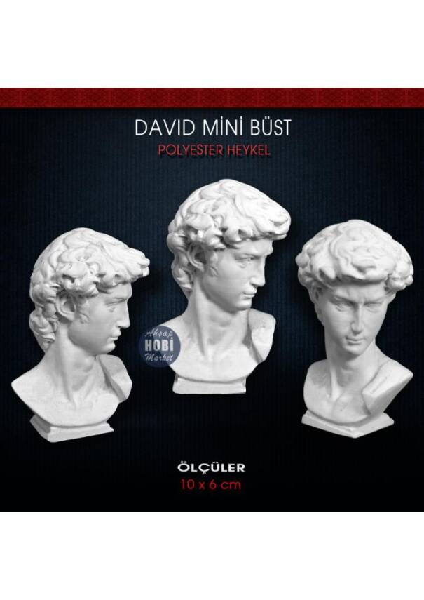 Mini David Biblo (10x6 cm) Ham Polyester - 1